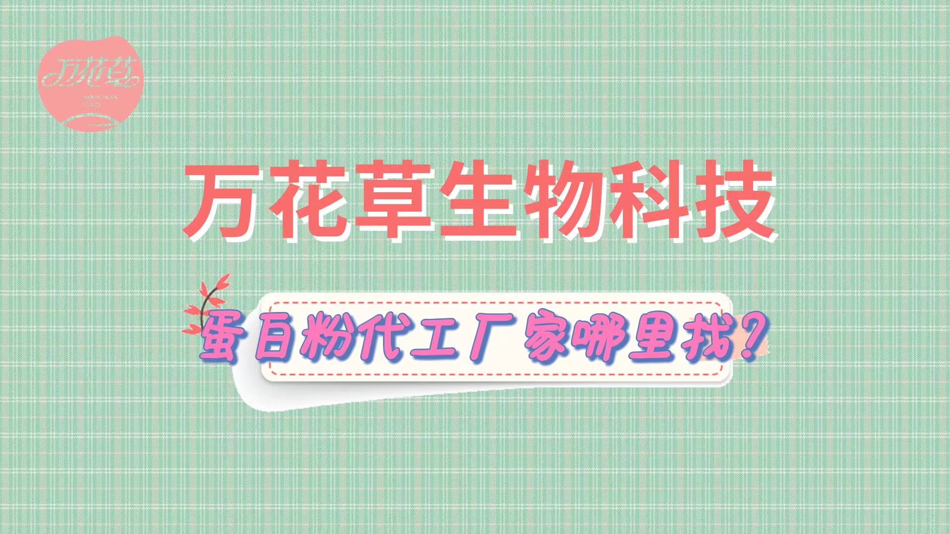 蛋白粉代加工，怎么找專業(yè)源頭廠家？