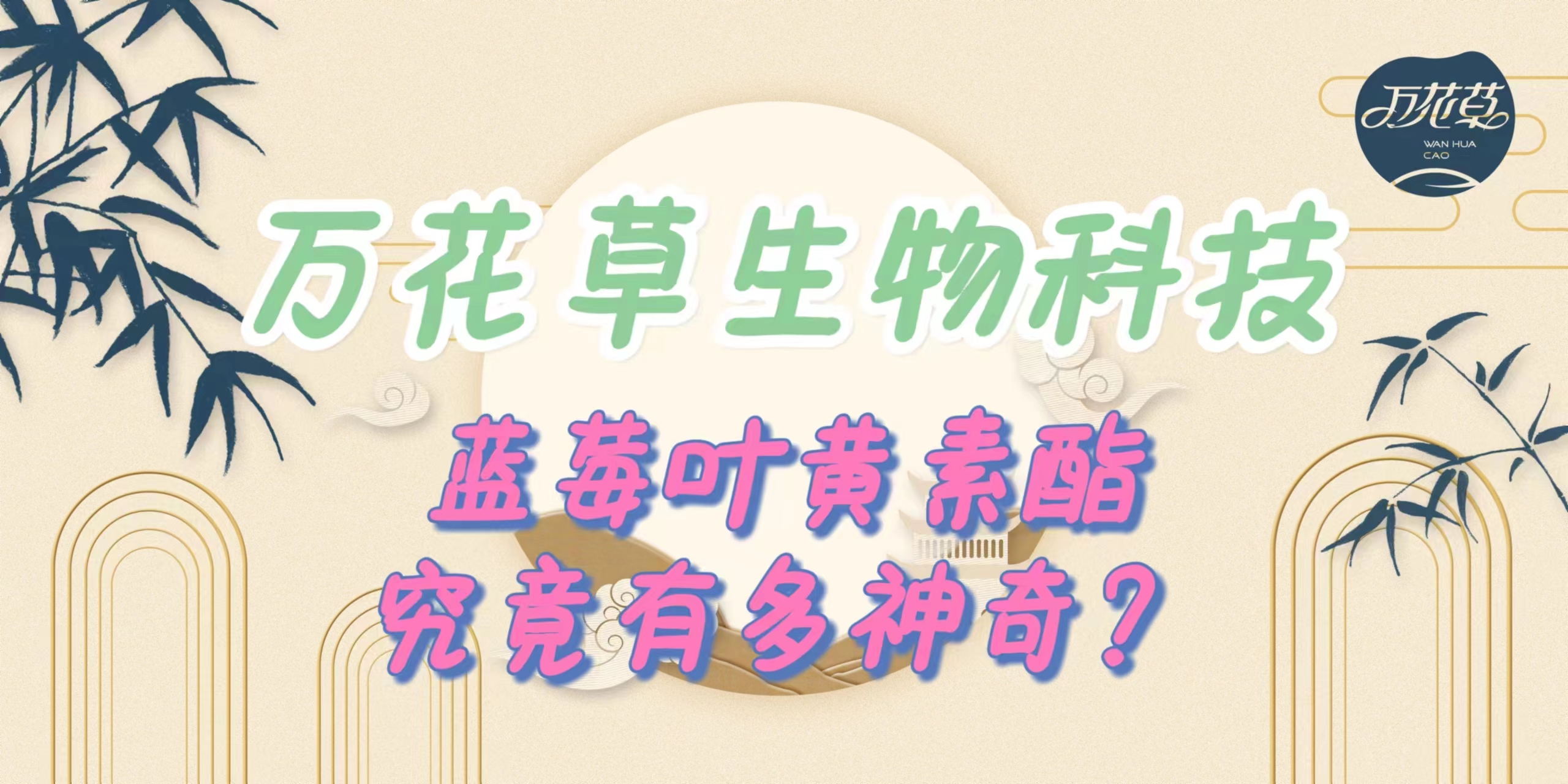 升級(jí)配方，重磅出擊，萬(wàn)花草藍(lán)莓葉黃素酯究竟有多神奇？