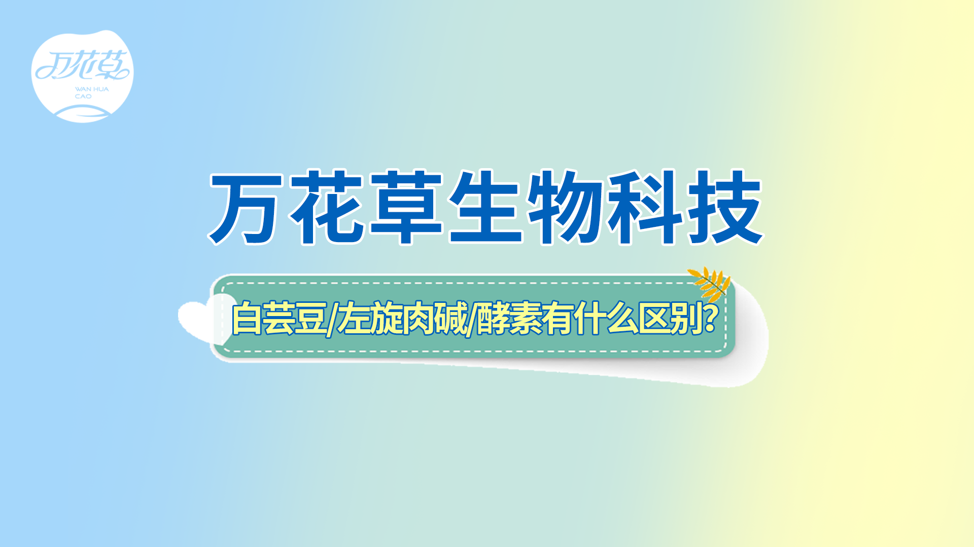 白蕓豆、左旋肉堿、嗨吃酵素有什么區(qū)別？